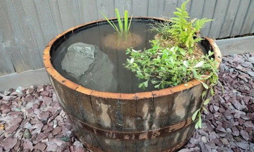 Large watertight oak - watertight, half