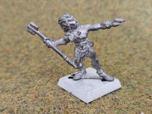 Warhammer marauder wood elf - warhammer,