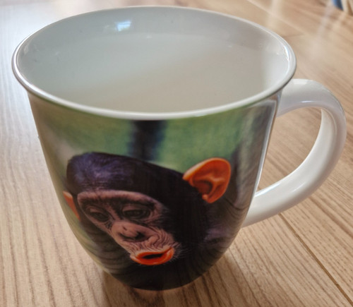 Official ravensden plc chimp - official,