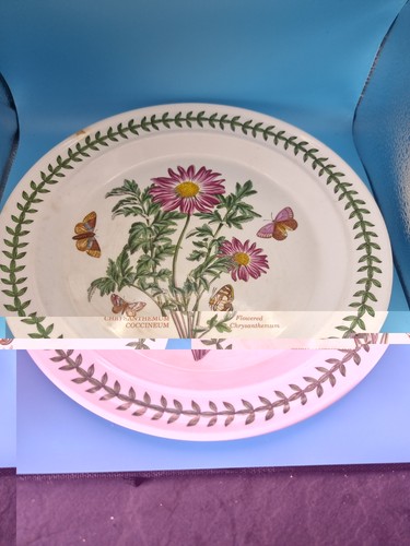 Portmeirion botanic garden - garden,