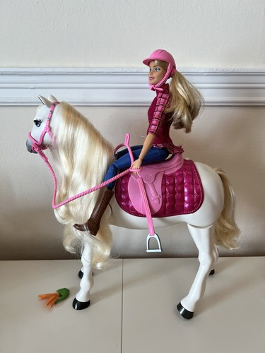 Barbie dreamhorse doll playset - dreamhorse,