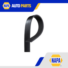 8 Rib Multi V Drive Belt