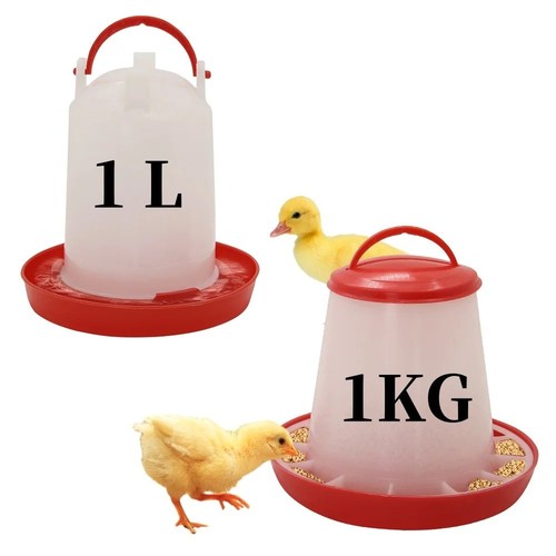 Chicken poultry feeders - chicken,