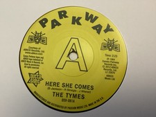 DEMO - HERE SHE COMES - THE