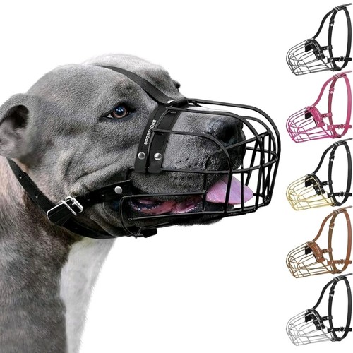 Bronzedog pitbull dog muzzle - bronzedog,