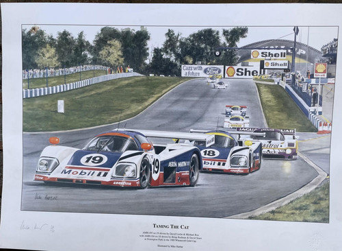 Aston martin amr1 taming - martin, the