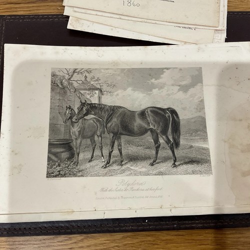 Antique horse print - print, 1860