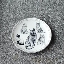 Elegate  Multi Black n White