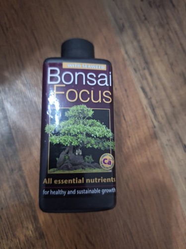 Bonsai focus essential - bonsai,