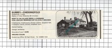 Chiddingfold Surrey House Sale Advert - 1981 Small Cutting