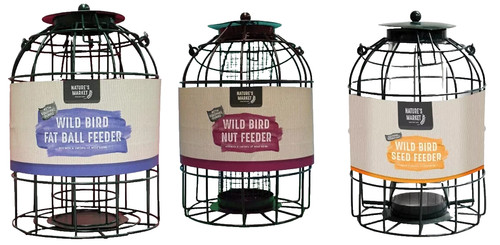 Hanging wild bird - hanging,