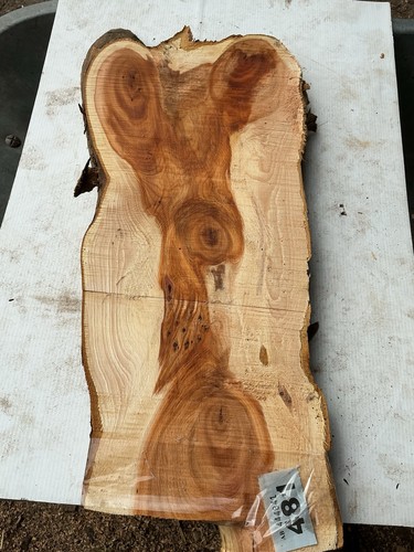 Yew plank - yew, wood,