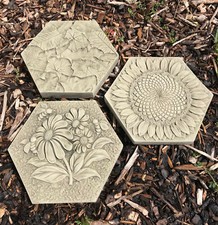 Insect Drinkers Stepping