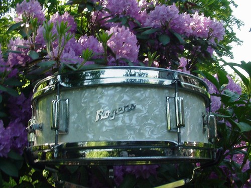 5x14 1967 rogers luxor white - 5x14:,