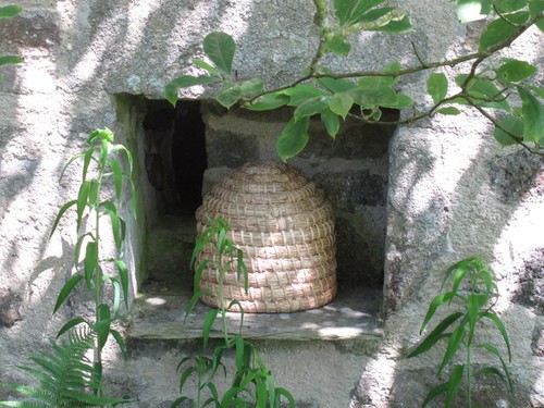 Photo bee bole and skep - a3,