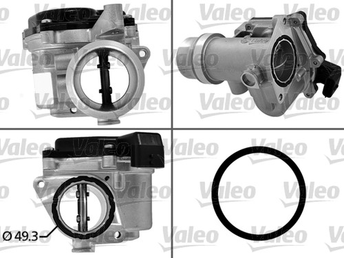 Valeo 700450 throttle body - 700450,