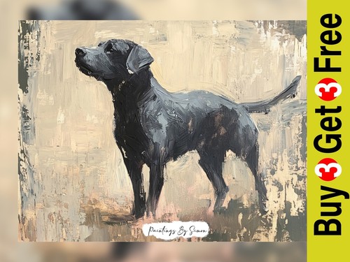 Expressive black labrador - expressive,