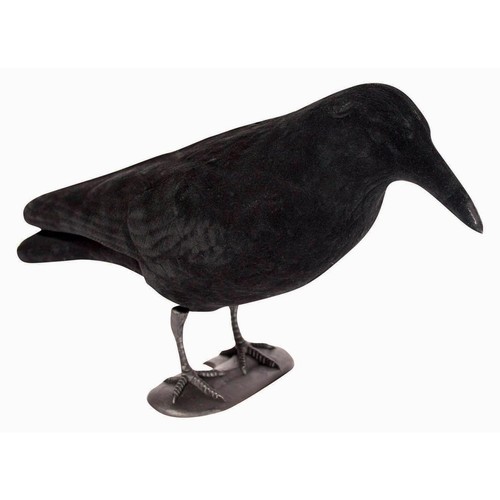 Bisley flocked crow - crow, decoy