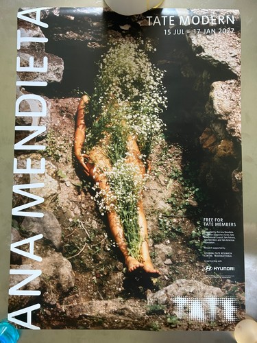 Ana mendieta imágen - mendieta, yágul