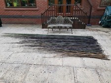 Large Bundle of Large Bamboo Canes