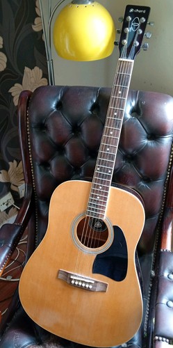 Chord acoustic guitar model - chord,