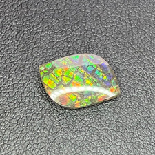 Natural Canadian Ammolite Leaf