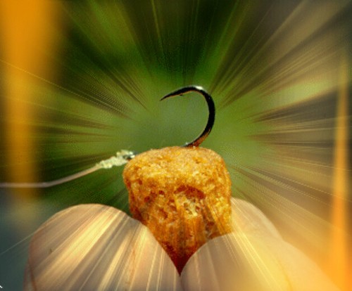 Fishing floating biscuit - floating,