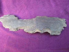 World War 1 Large Piece of