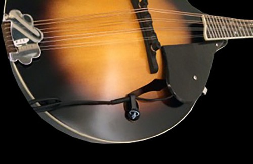 The feather mandocello pickup - the,