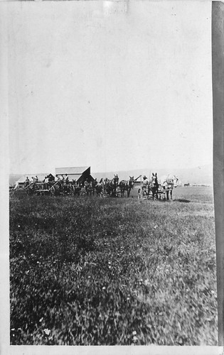 1910 hay making equipment - hay,