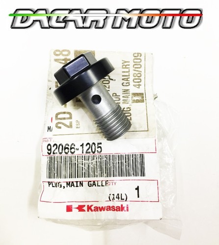 Oil drain plug - oil, 920661205