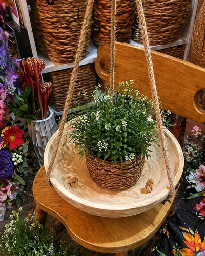 Plant basket hanging - basket,