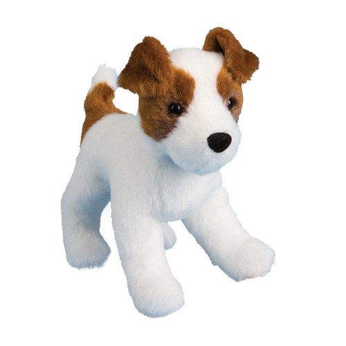 Douglas feisty jack russell - feisty,