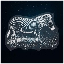 'Zebra Grazing on Grass'