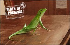 DEATH IN PARADISE DRINKS