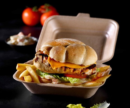 Hp2 brown takeaway food - food, burger