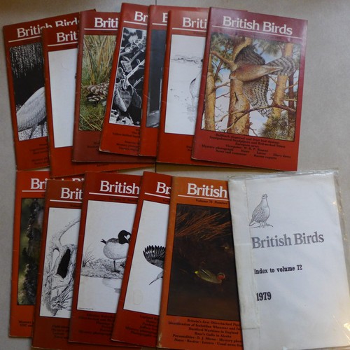 British birds magazines - magazines, (full