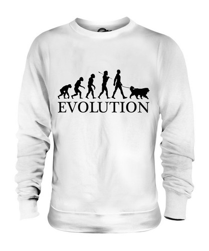 Clumber spaniel evolution - clumber,