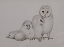 Trevor Boyer (b. 1948) -