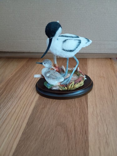 Country artists avocet with - avocet,