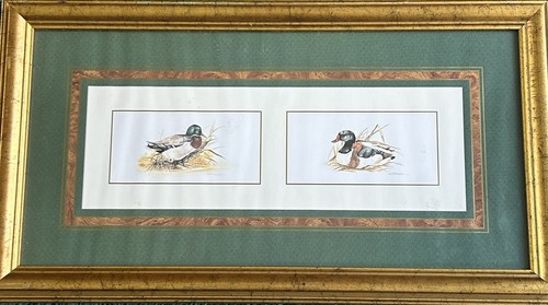 Joel kirk framed prints two - joel,