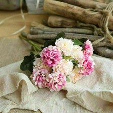 Wedding Party Home Outdoor