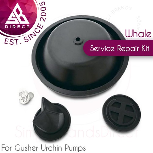 Whale gusher urchin bilge - urchin,