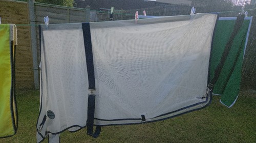 Weatherbeeta horse fly sheet - horse,