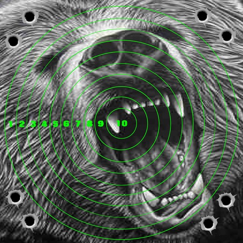 Bear adhesive targets - bear,