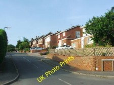 Photo 12x8 Greenfinches, New