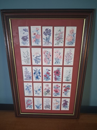 Wills cigarettes flower - cigarettes,,