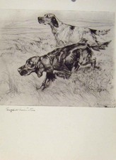 Original Old Vintage Print