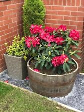 Garden Planter Half Barrel