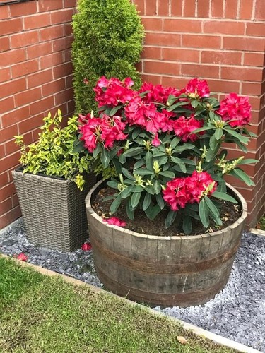 Garden planter half - garden,